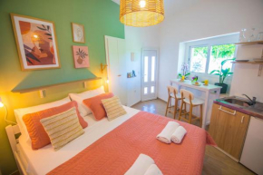 Studio apartment Fanina